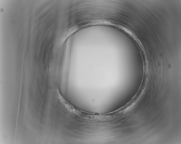 X0000052540905200507291847