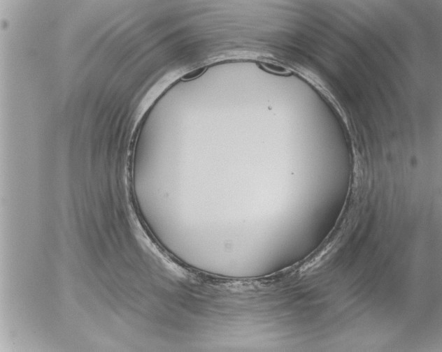 X0000052540906200507291847