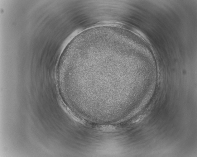 X0000052540907200507291847