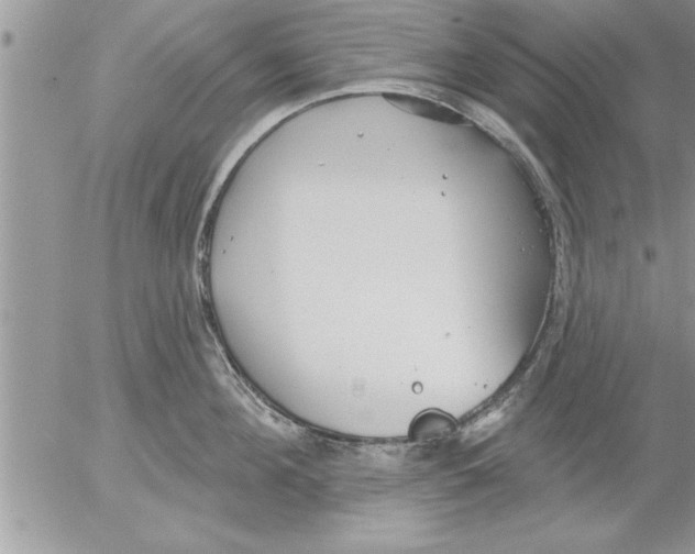 X0000052540908200507291847