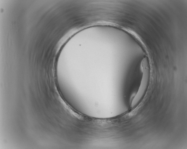 X0000052540910200507291847