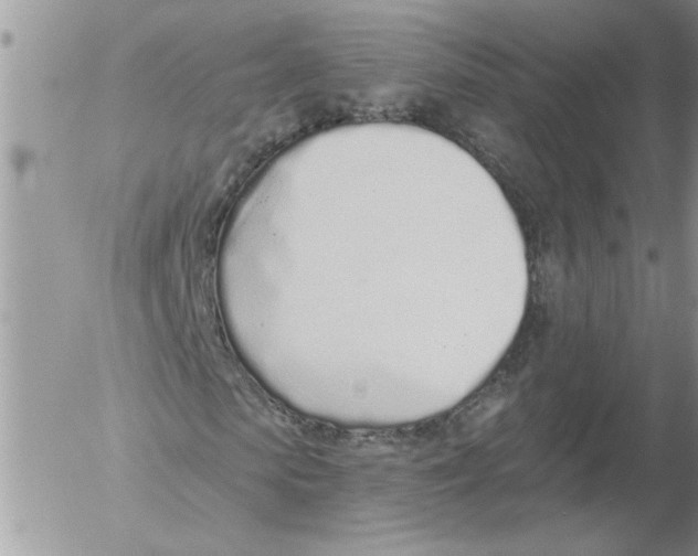 X0000052540913200507291846