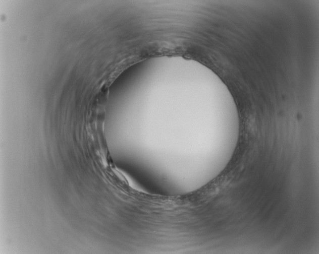 X0000052540914200507291846