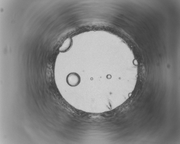 X0000052540918200507291846