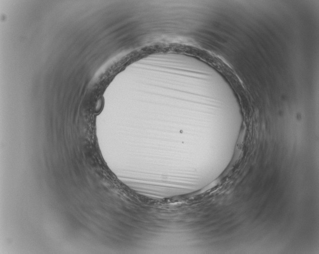 X0000052540919200507291846