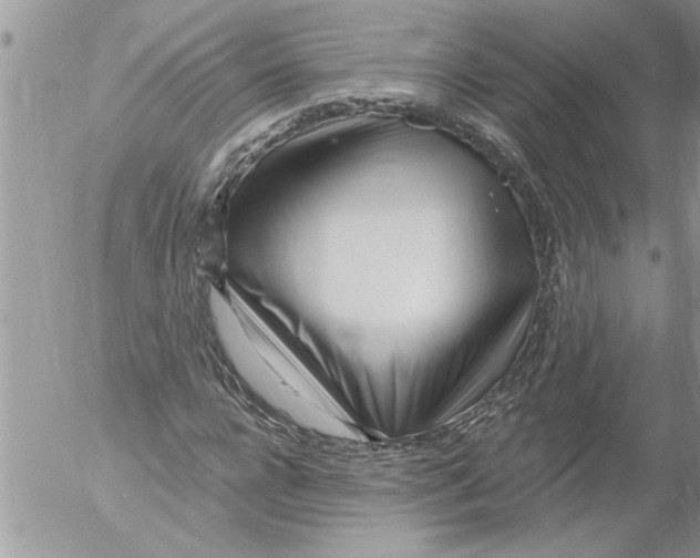 X0000052540920200507291846