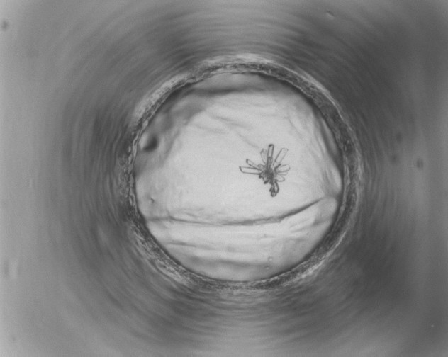 X0000052540921200507291846