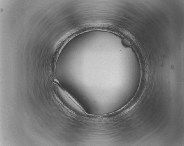 X0000052540922200507291846