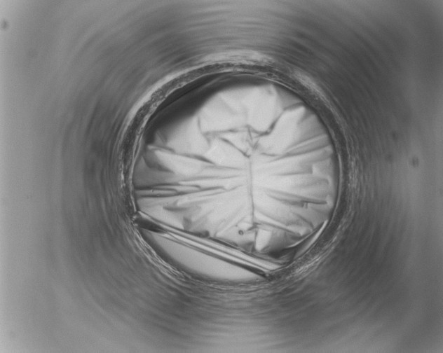 X0000052540923200507291846