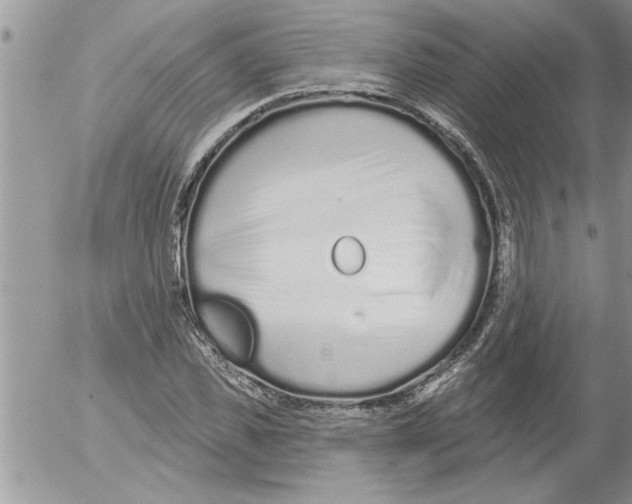 X0000052540925200507291846