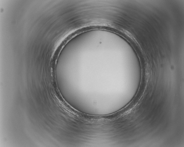 X0000052540926200507291846