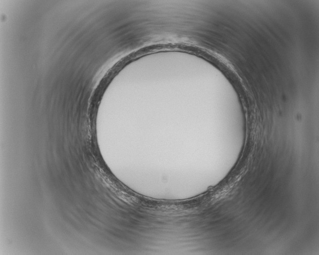 X0000052540927200507291846