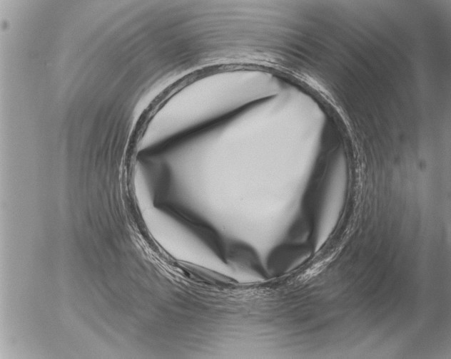 X0000052540928200507291847