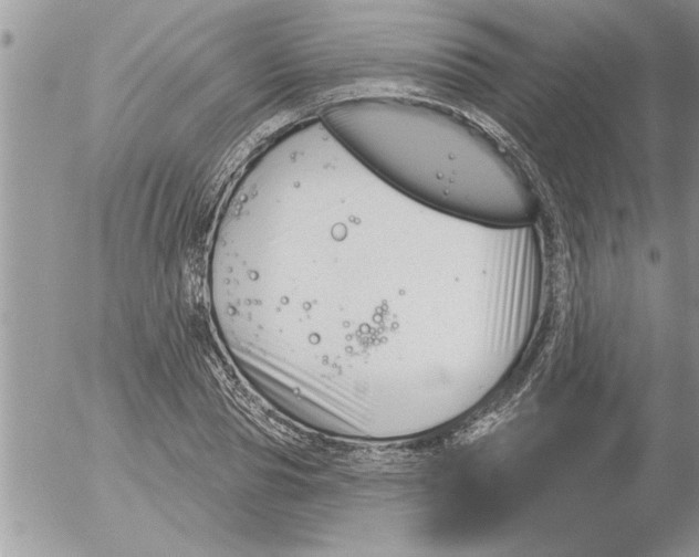 X0000052540929200507291847