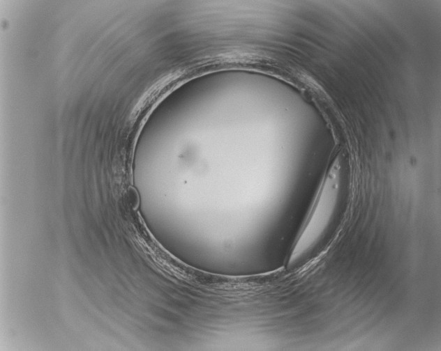 X0000052540930200507291847