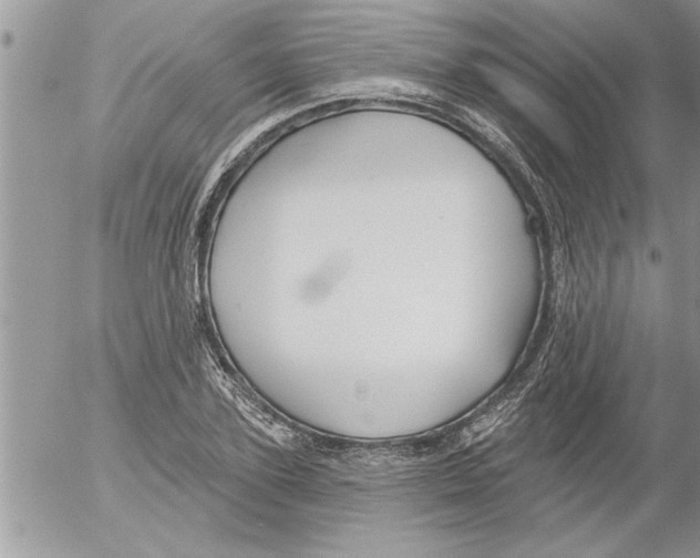 X0000052540931200507291847