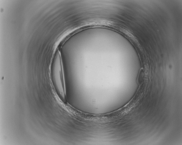 X0000052540936200507291847