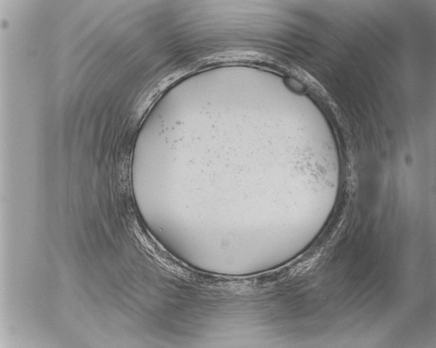 X0000052540937200507291847