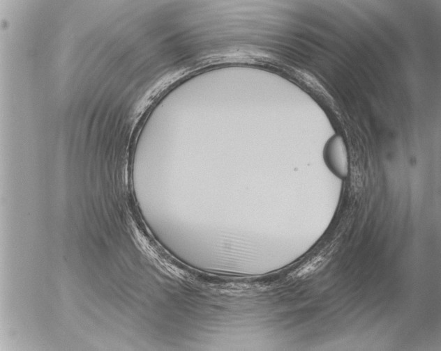 X0000052540938200507291847