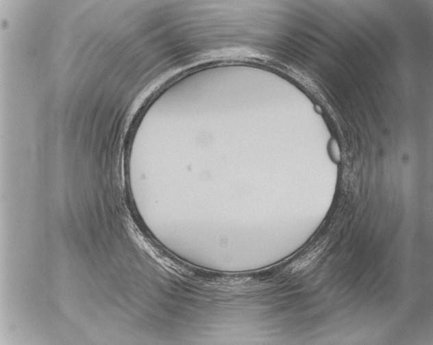 X0000052540939200507291847