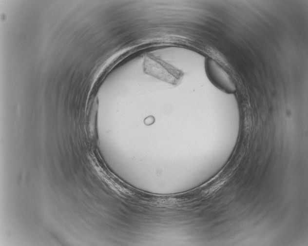 X0000052540940200507291847