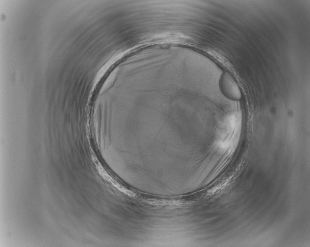 X0000052540941200507291847