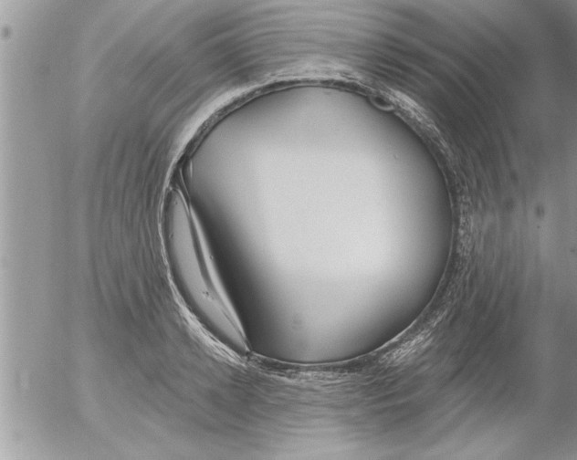 X0000052540942200507291847