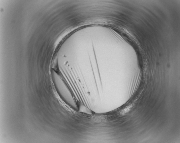 X0000052540944200507291847