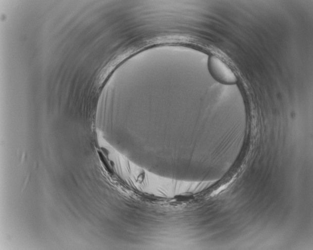 X0000052540945200507291847