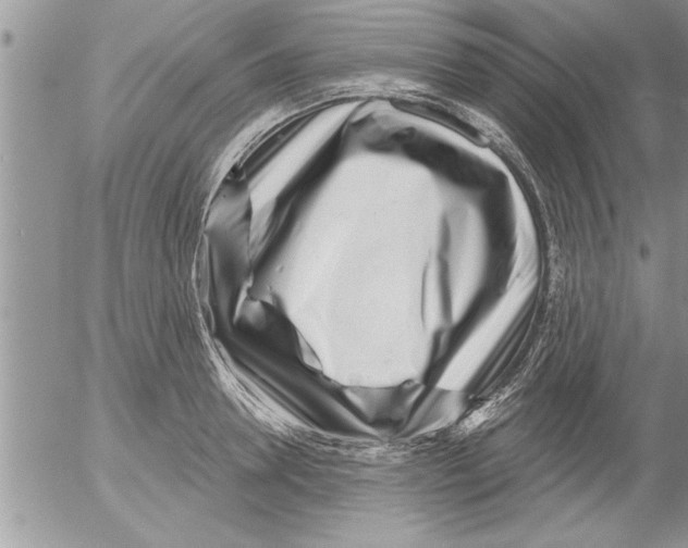 X0000052540946200507291847