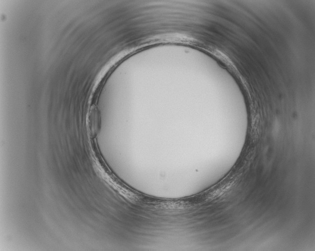 X0000052540947200507291847