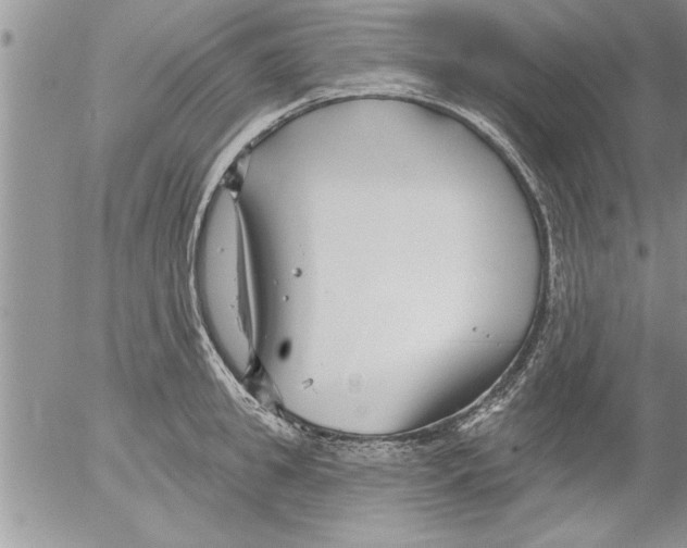 X0000052540949200507291847