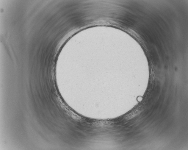 X0000052540950200507291847