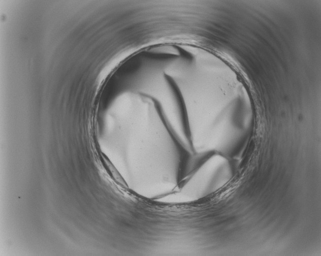 X0000052540952200507291847