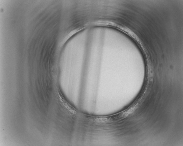 X0000052540953200507291847