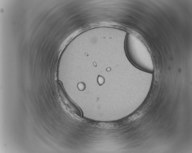 X0000052540954200507291847