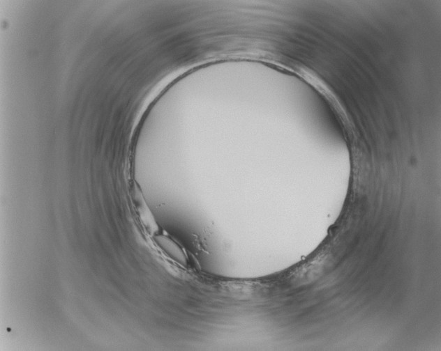 X0000052540956200507291847