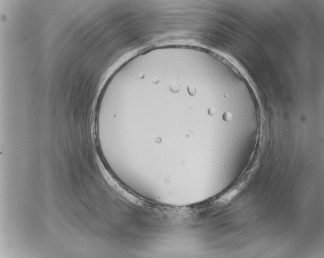 X0000052540957200507291847