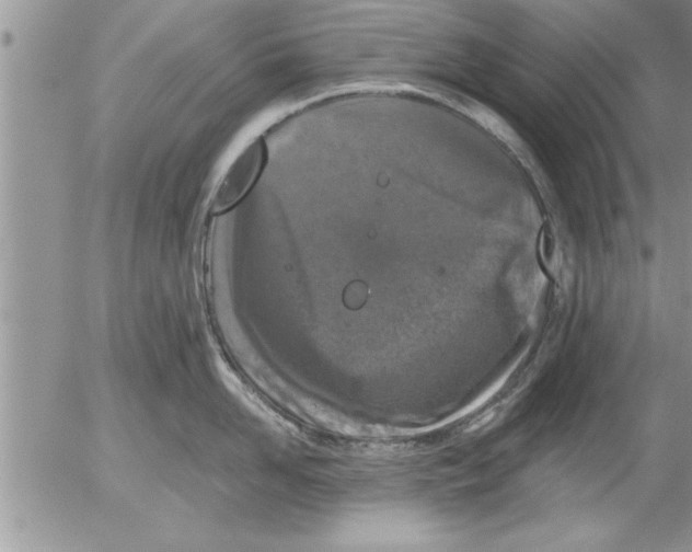 X0000052540958200507291847