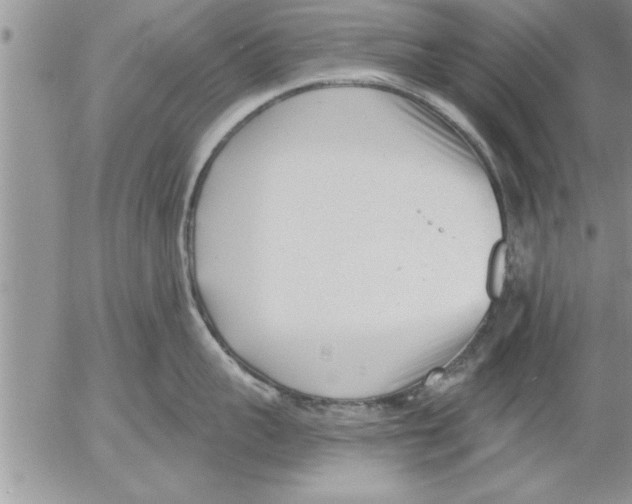 X0000052540959200507291847