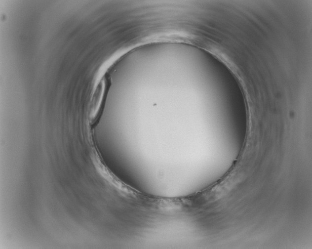 X0000052540960200507291847