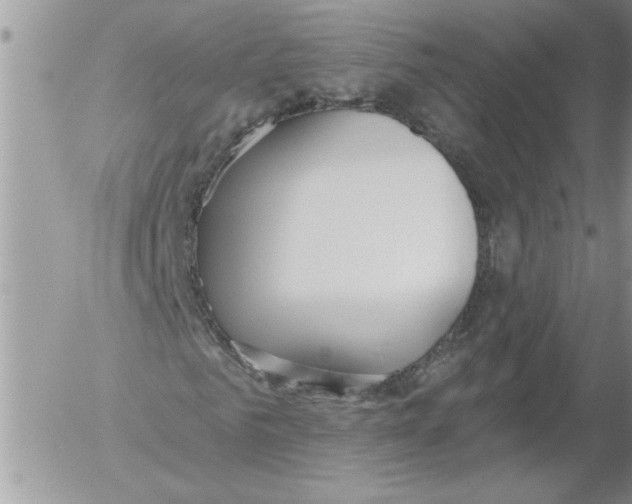 X0000052540961200507291846