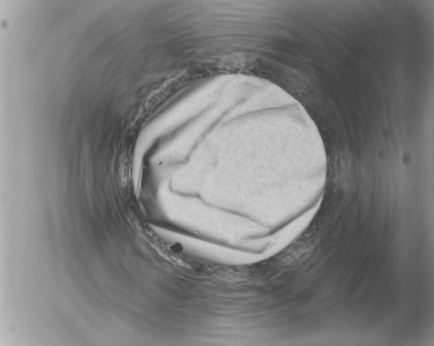 X0000052540962200507291846