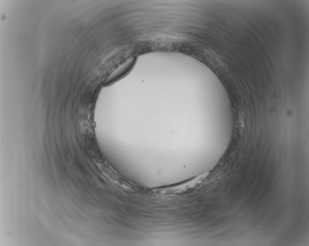 X0000052540964200507291846