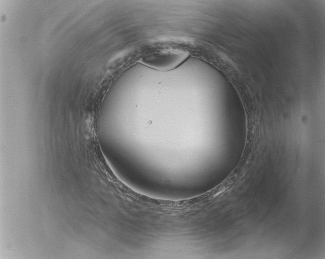 X0000052540965200507291846