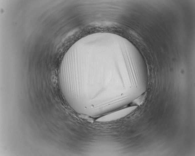 X0000052540966200507291846