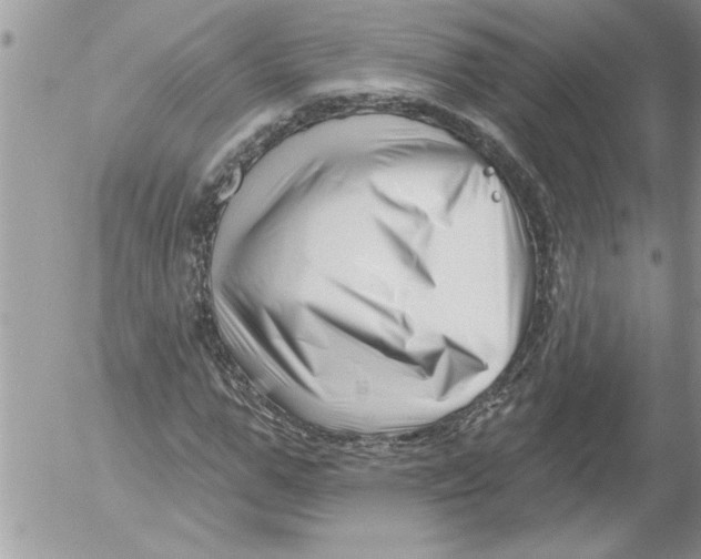 X0000052540967200507291846