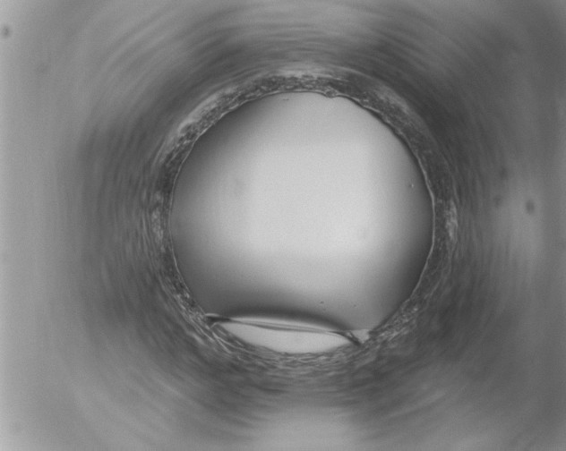 X0000052540968200507291846