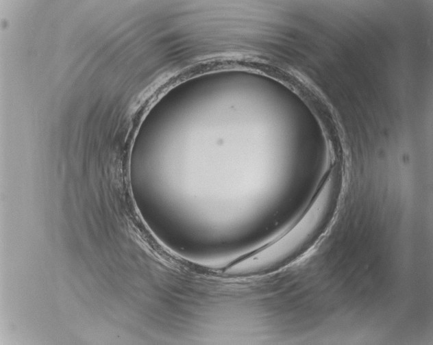 X0000052540969200507291846