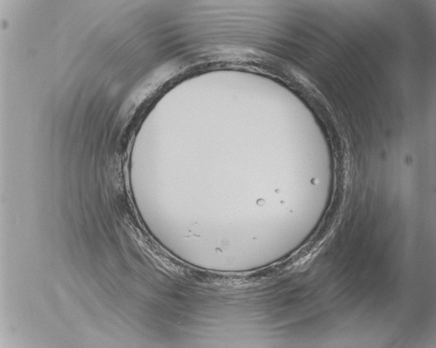 X0000052540970200507291846